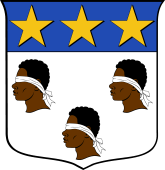 Italian Family Shield for Righi