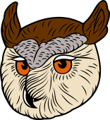 Eagle Owl Head