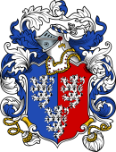 English or Welsh Coat of Arms for Rouse (or Rous-Gloucestershire)