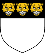 English Family Shield for Norman I