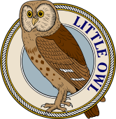 Birds of Prey Clipart image: Little Owl of Europe-M