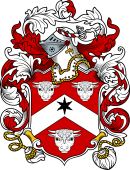 English or Welsh Coat of Arms for Baynham (Gloucestershire, 1631)