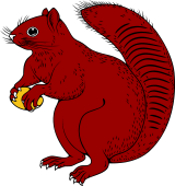 Squirrel Sejant Holding Nut