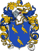 English or Welsh Coat of Arms for Sevens (Kent)