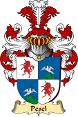 v.23 Coat of Family Arms from Germany for Pesel