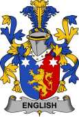 Irish Coat of Arms for English