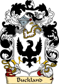 English or Welsh Family Coat of Arms (v.23) for Buckland