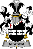 Irish Coat of Arms for Newsom or Newsam