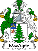 Irish Coat of Arms for MacAlpin