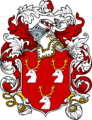 English or Welsh Coat of Arms for Anne (Trickly, Yorkshire)