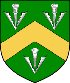 Irish Family Shield for Homan or Howman (Westmeath)