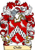 English or Welsh Family Coat of Arms (v.23) for Child (1699)