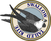 Swallow-Tailed Kite-M