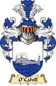 Irish Family Coat of Arms (v.23) for O'Cahill