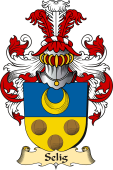 v.23 Coat of Family Arms from Germany for Selig