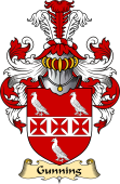 English Coat of Arms (v.23) for the family Gunning