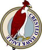 Crested Hawk Eagle-M