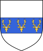 Irish Family Shield for Harforth or Hafford