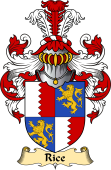 Irish Family Coat of Arms (v.23) for Rice