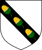 English Family Shield for Ackers
