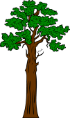Tree (Tall) 2
