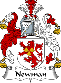 Irish Coat of Arms for Newman