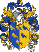 English or Welsh Coat of Arms for Fleetwood