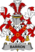 Irish Coat of Arms for Barron