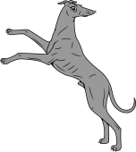 Greyhound Salient Reguardant