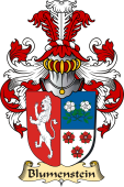 v.23 Coat of Family Arms from Germany for Blumenstein